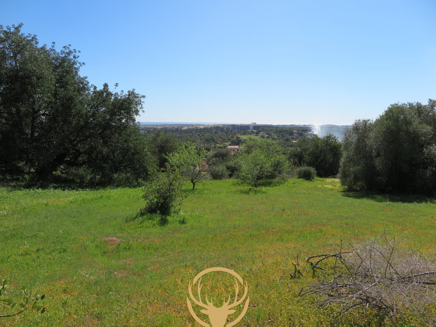Deslumbrantes Vistas do Mar a partir Expansiva Enredo em Benfarras, Boliqueime 