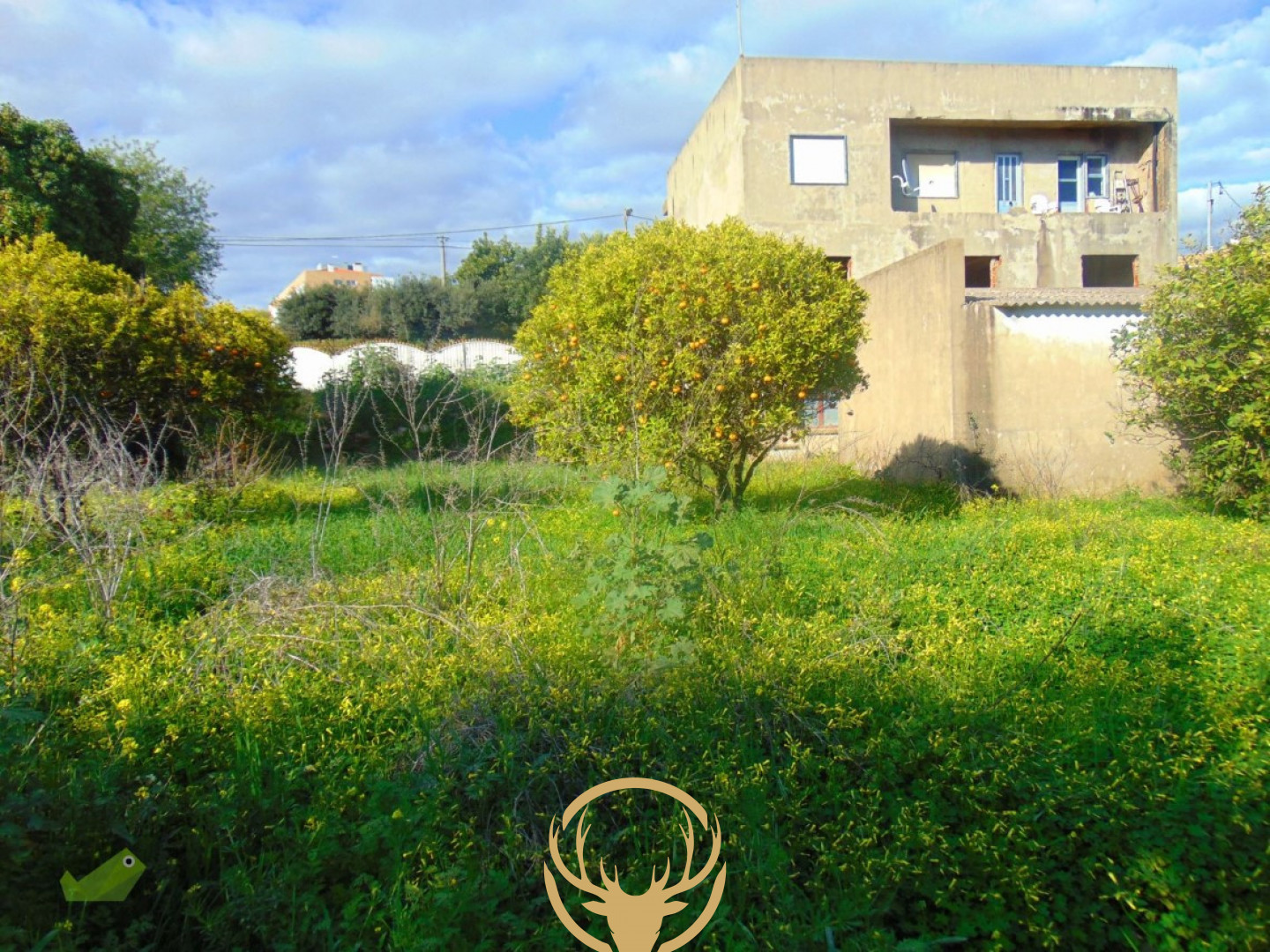 2,000m2 de Terra Frutífera e um Subdesenvolvido Propriedade apenas a passos de distância de São Brãs Centro da Cidade. 