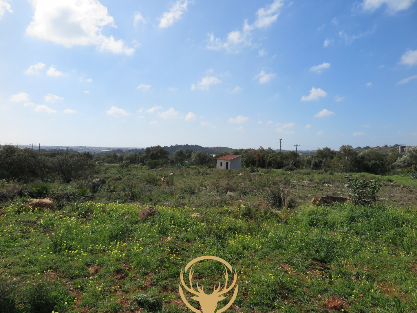 Expansiva 11,076m2 terreno com Vista para o Mar de Santa Barbara, a flexibilidade para construir 2 propriedades separadas! 