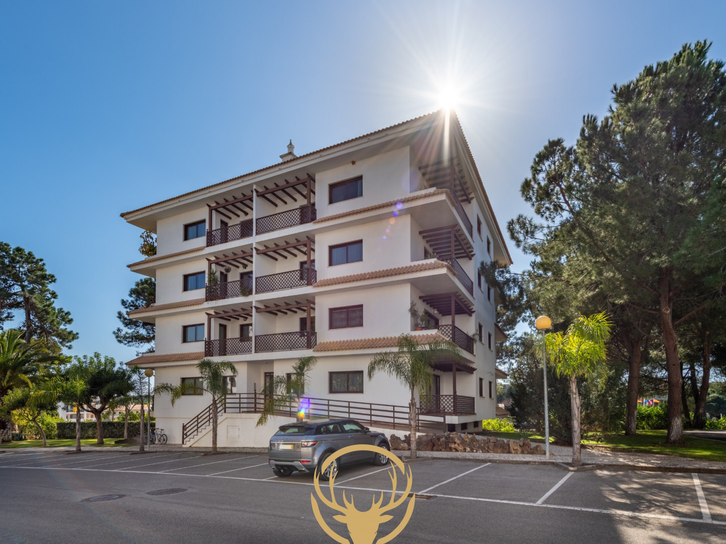 Lovely  1-Bedroom Apartment in Pine Sun Park