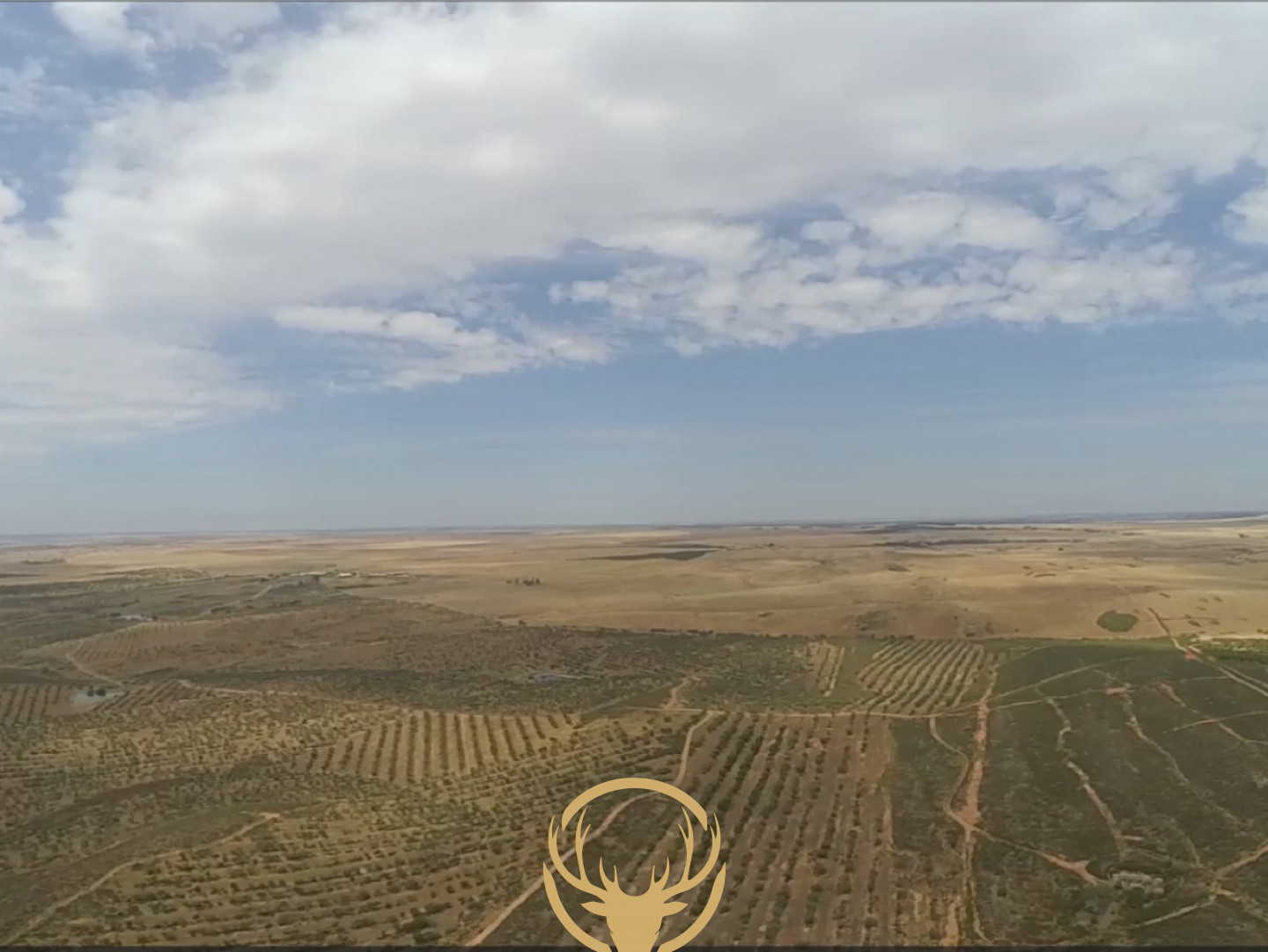 20-hectare rustic plot