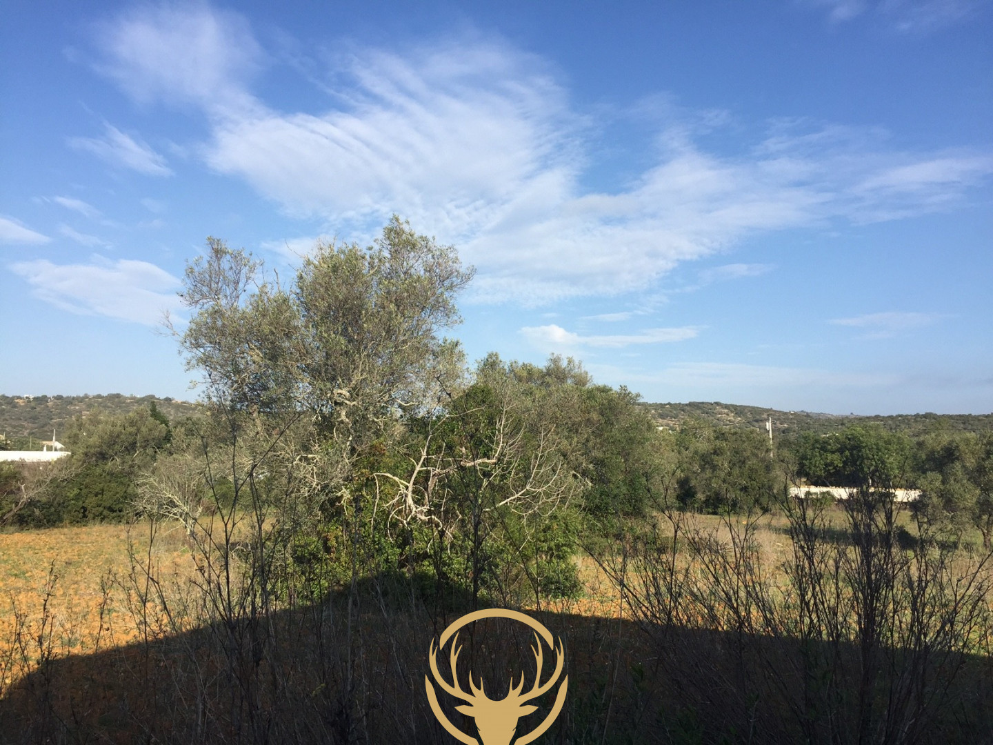 Terreno em Goldra Loulé